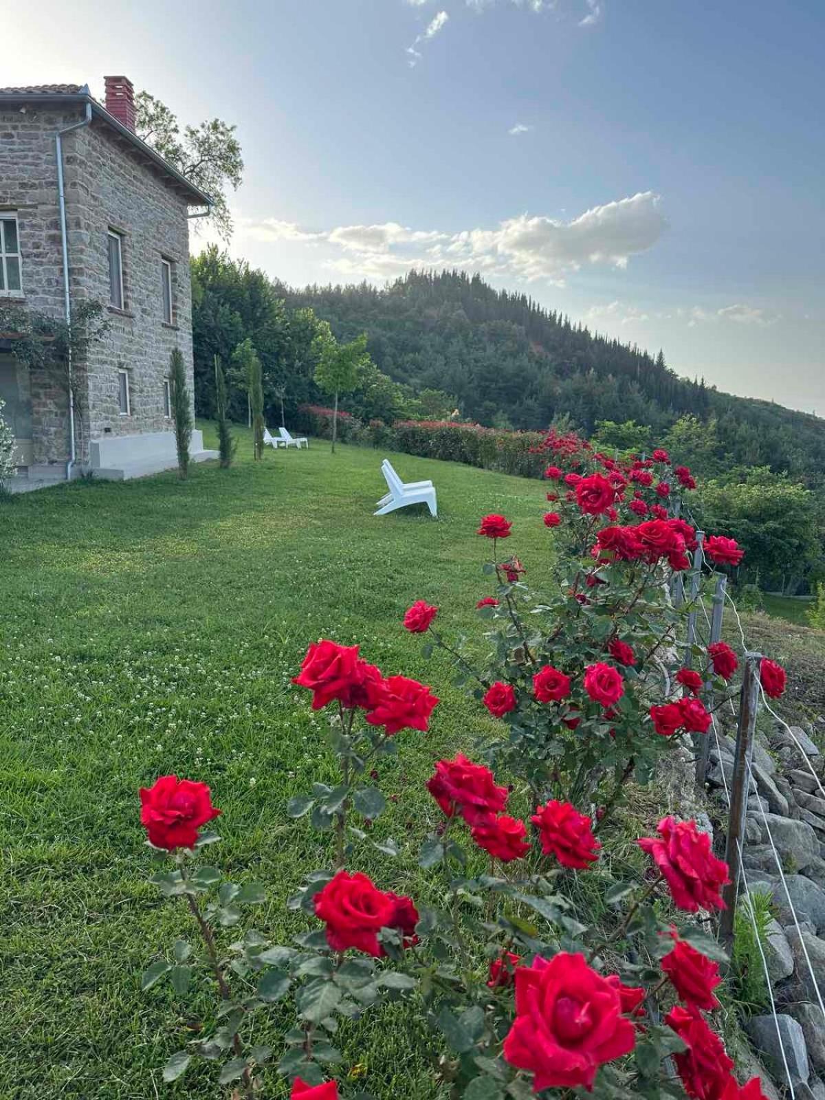 Εn Kanaliois Kanália Exterior foto